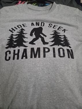 Champion-Style 'Hide and Seek Champion' Men's Grey Graphic T-Shirt